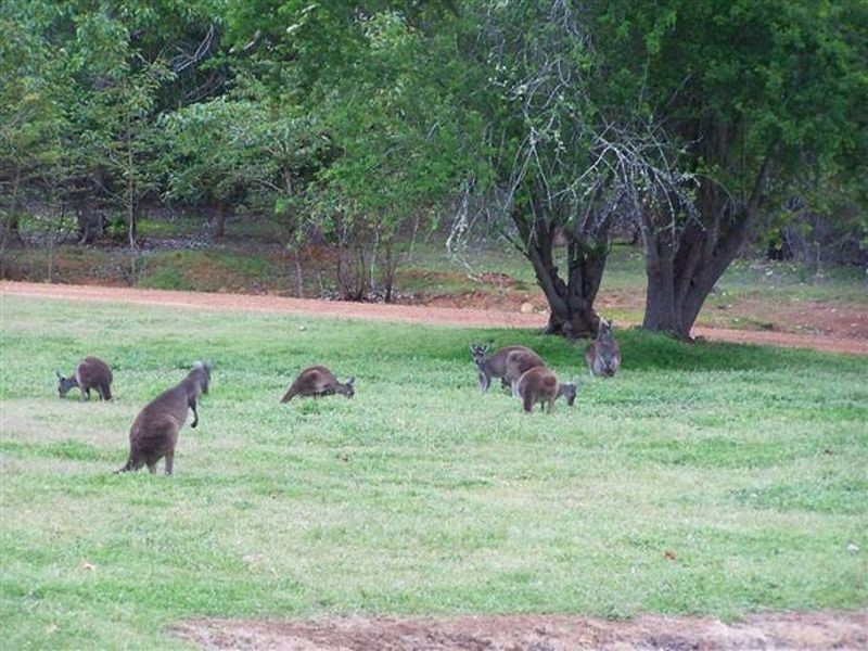 1 Nyamup Rd, Dingup WA 6258