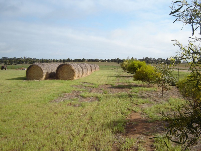 102 Wark Rd, Tailem Bend SA 5260