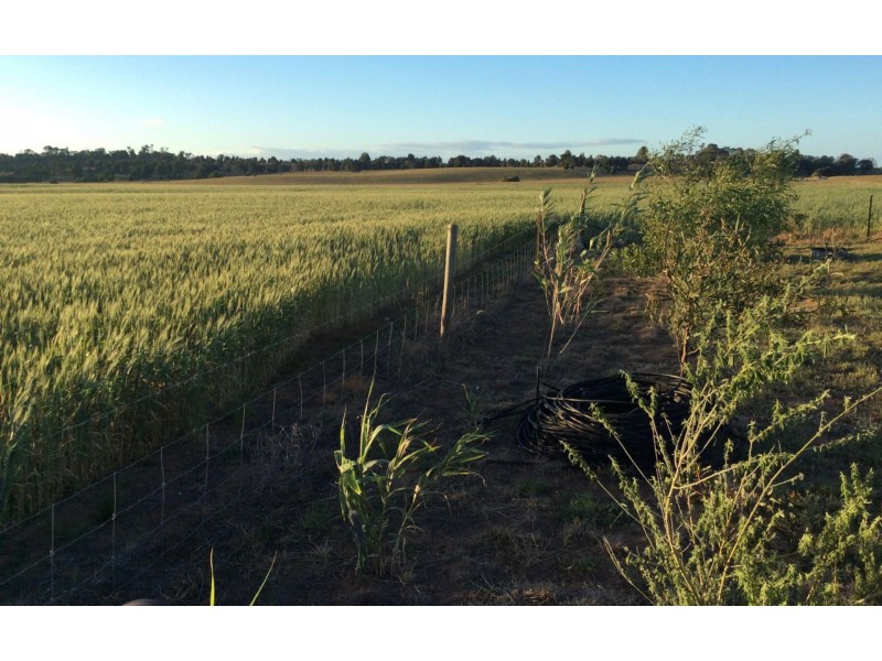 102 Wark Rd, Tailem Bend SA 5260