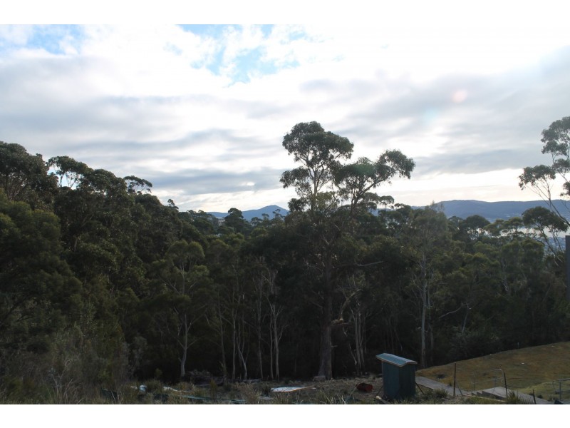 19 Hakea Drive, Tolmans Hill TAS 7007