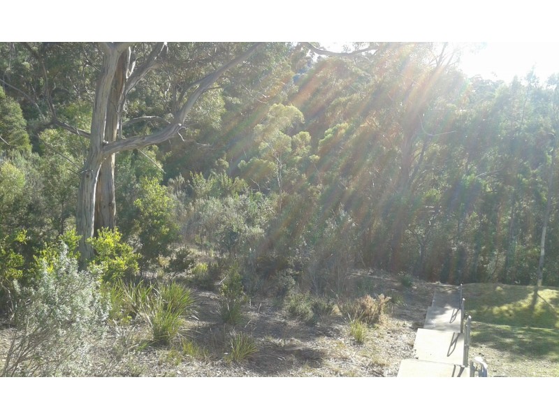 19 Hakea Drive, Tolmans Hill TAS 7007