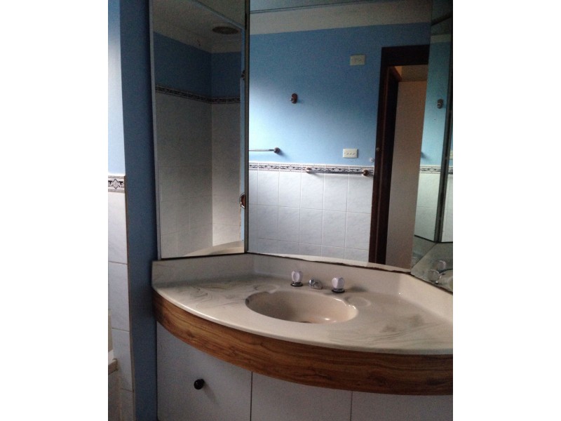 24 Palmer Street, Ingleburn NSW 2565