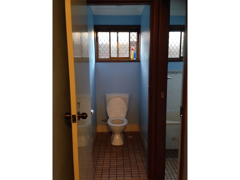 24 Palmer Street, Ingleburn NSW 2565