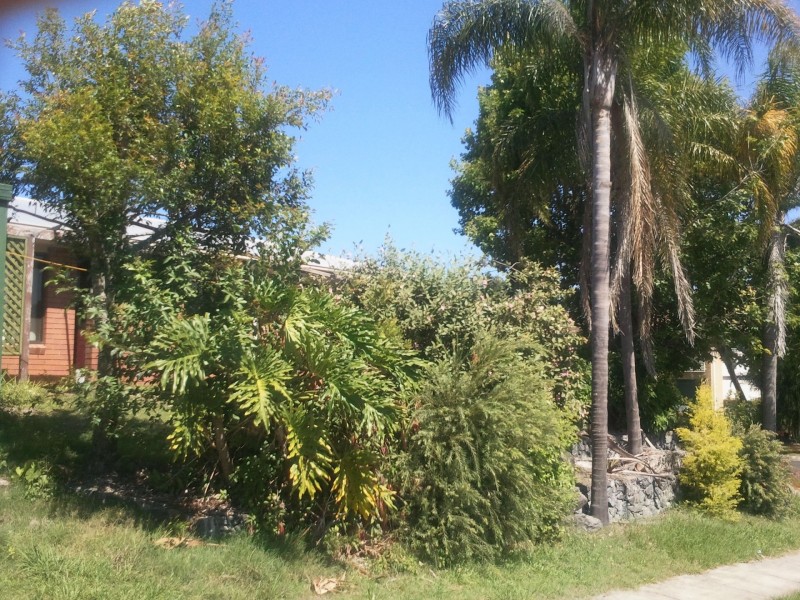 1 Mako St, Runcorn QLD 4113