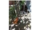 122 Gladstone Road, Highgate Hill QLD 4101
