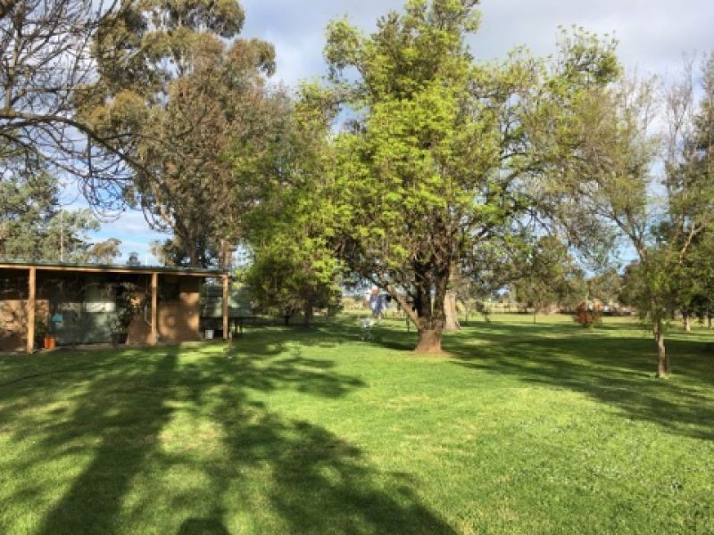Lot 8 Jerilderie Street, Berrigan NSW 2712