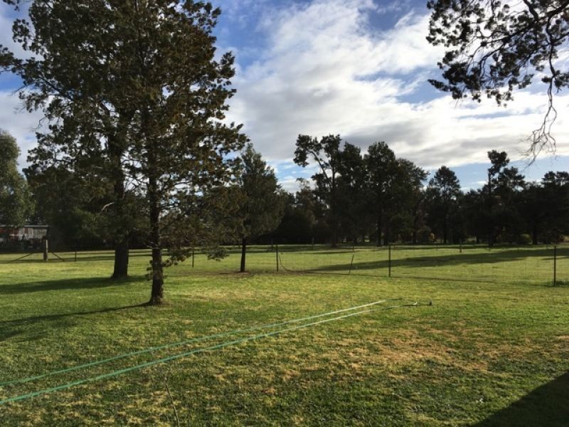 Lot 8 Jerilderie Street, Berrigan NSW 2712