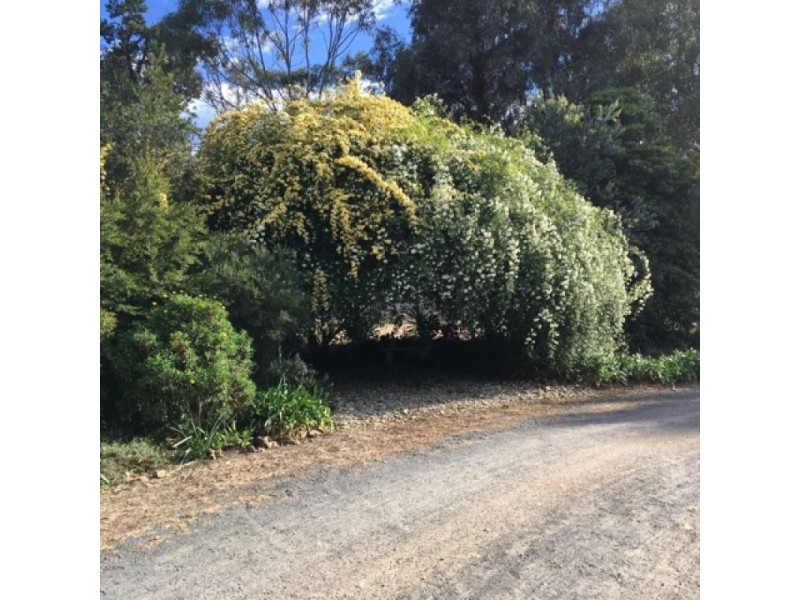 Lot 8 Jerilderie Street, Berrigan NSW 2712