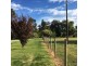 Lot 8 Jerilderie Street, Berrigan NSW 2712