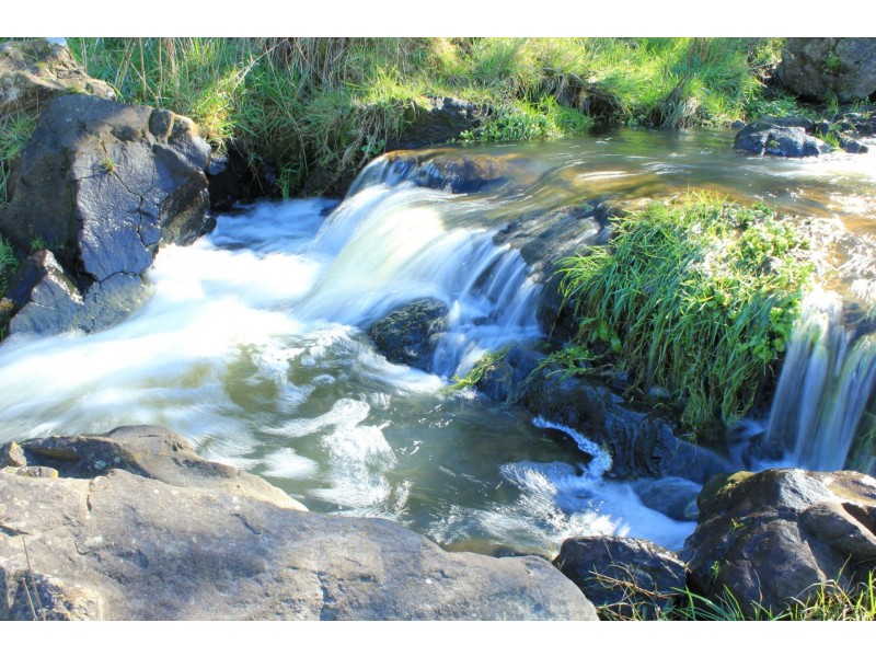 205 Mardan-Dumbalk Rd, Dumbalk VIC 3956