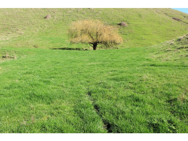 205 Mardan-Dumbalk Rd, Dumbalk VIC 3956