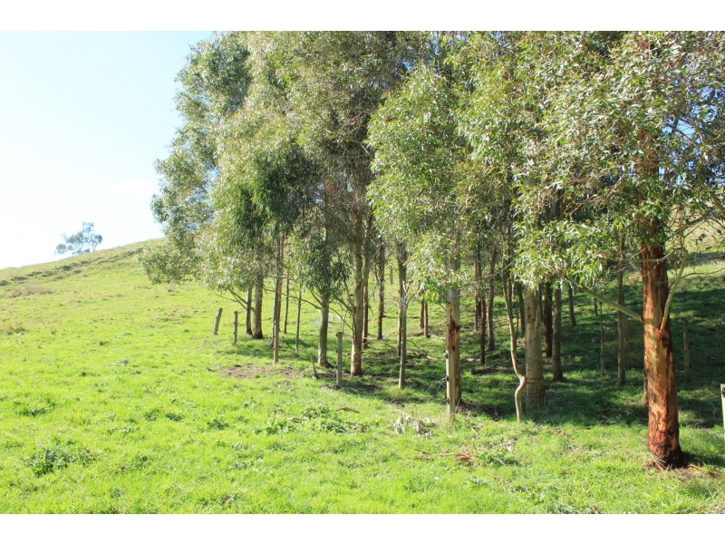 205 Mardan-Dumbalk Rd, Dumbalk VIC 3956