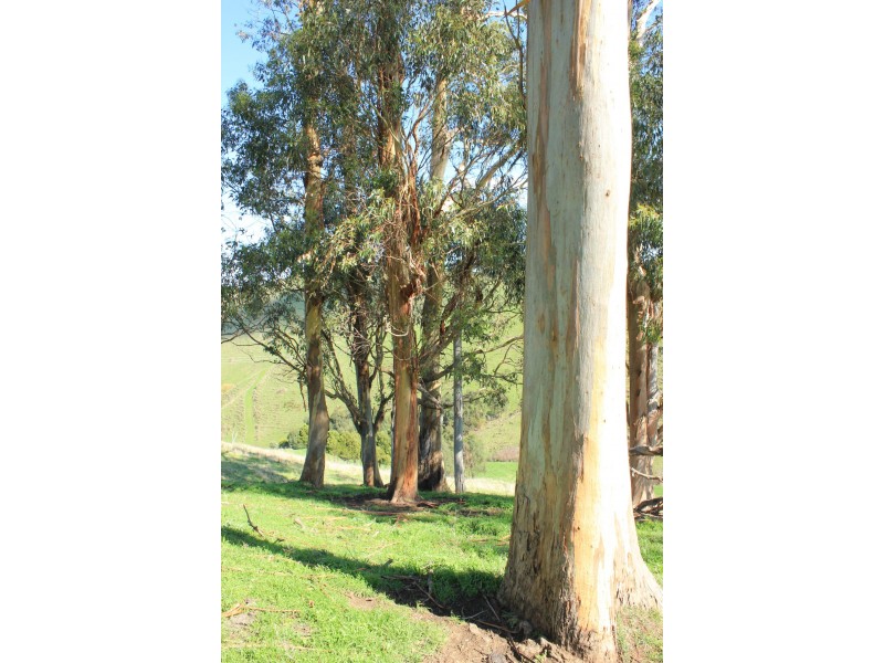 205 Mardan-Dumbalk Rd, Dumbalk VIC 3956