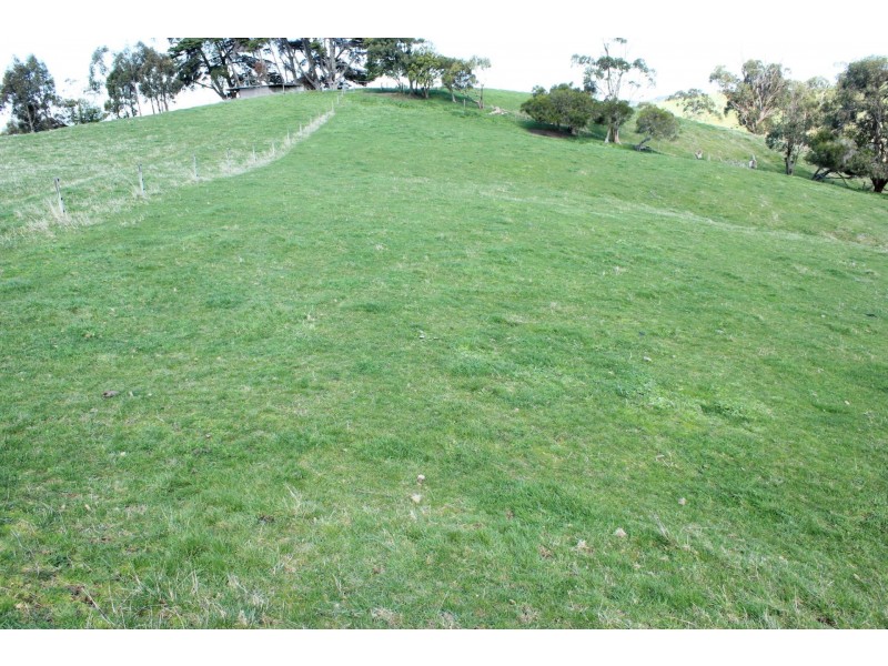 205 Mardan-Dumbalk Rd, Dumbalk VIC 3956