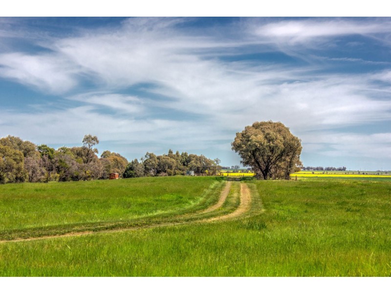 00 Winter Rd, Timmering VIC 3561