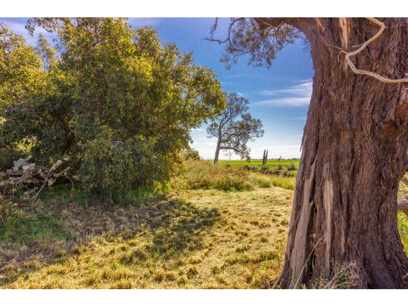 00 Winter Rd, Timmering VIC 3561