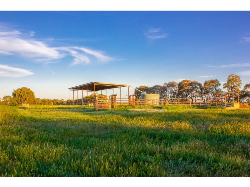 00 Winter Rd, Timmering VIC 3561