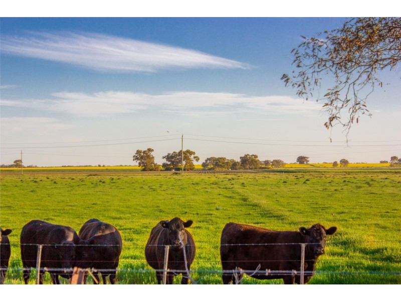 00 Winter Rd, Timmering VIC 3561