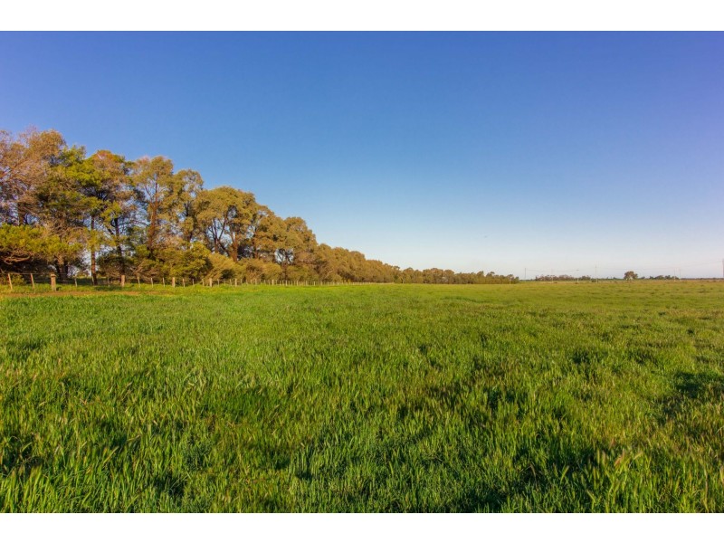 00 Winter Rd, Timmering VIC 3561