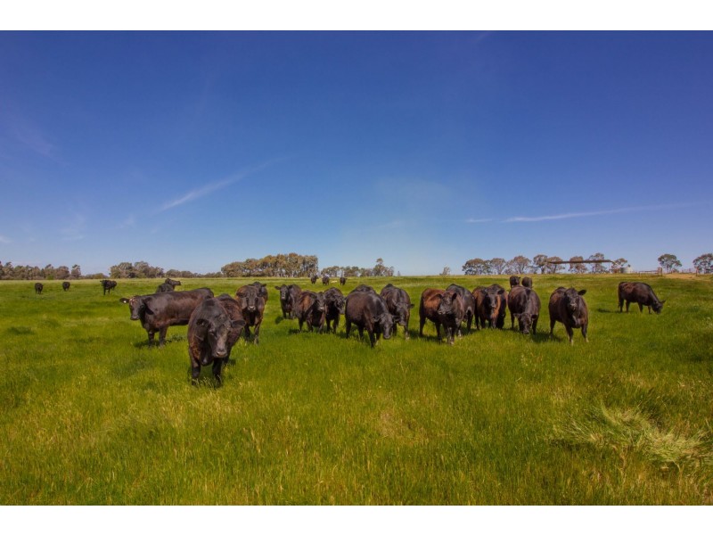 00 Winter Rd, Timmering VIC 3561