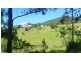 1441 Collins Creek Road, Kyogle NSW 2474