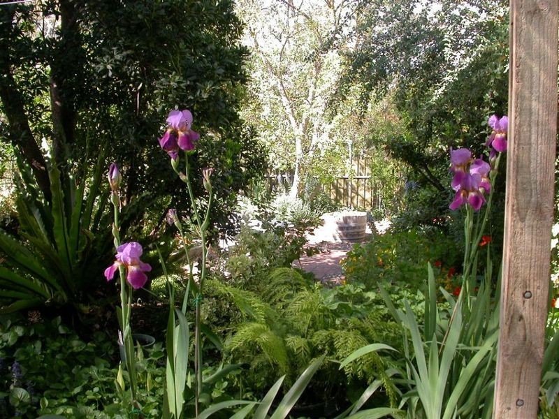 12 Bridge Street, Tanunda SA 5352