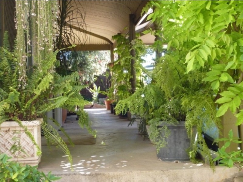 12 Bridge Street, Tanunda SA 5352