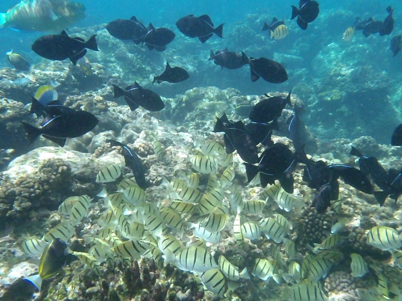 71 Gaze Road, Christmas Island WA 6798