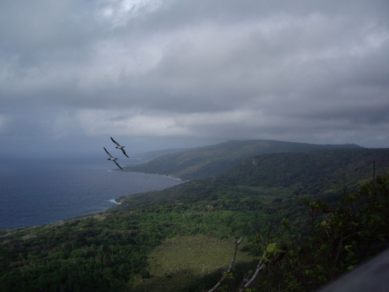 71 Gaze Road, Christmas Island WA 6798