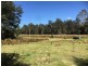 00 Tasman Highway, Derby TAS 7264