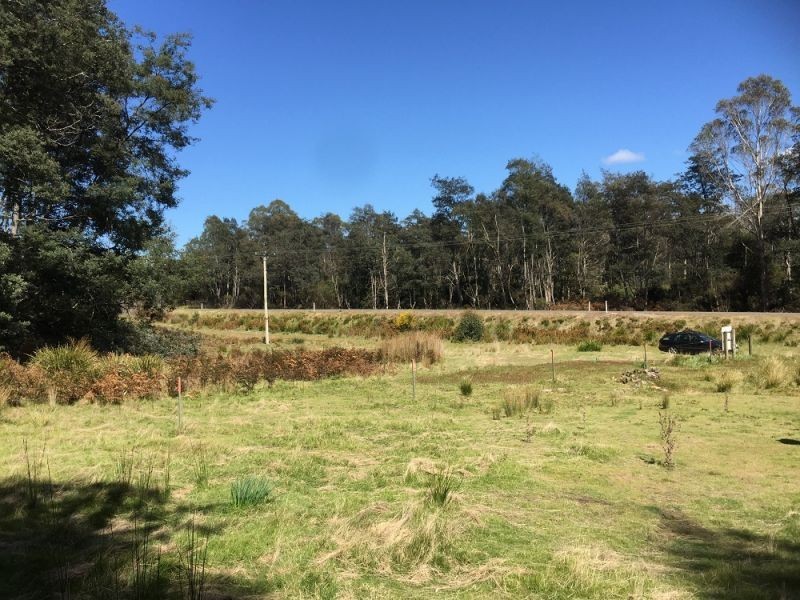 00 Tasman Highway, Derby TAS 7264