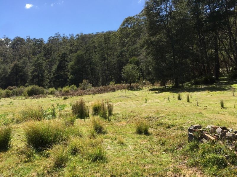 00 Tasman Highway, Derby TAS 7264