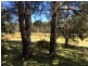 00 Tasman Highway, Derby TAS 7264
