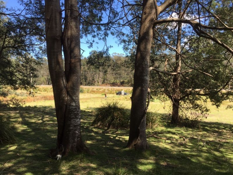 00 Tasman Highway, Derby TAS 7264