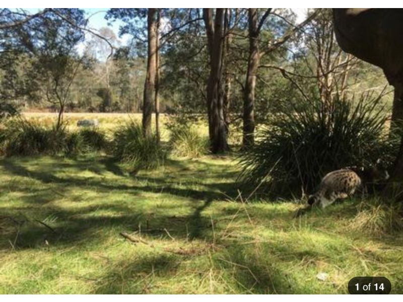00 Tasman Highway, Derby TAS 7264