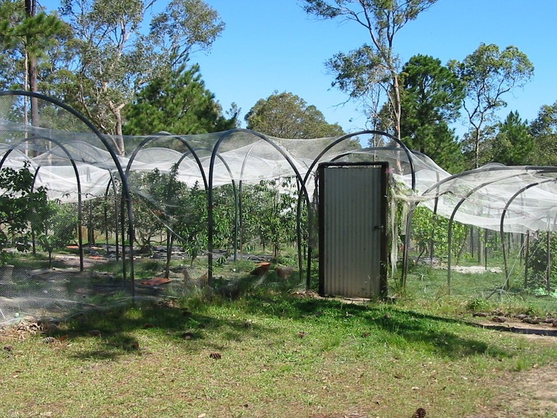 55 Viney Creek Road West, Tea Gardens NSW 2324