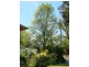 6 Rankin St, Woodstock NSW 2793