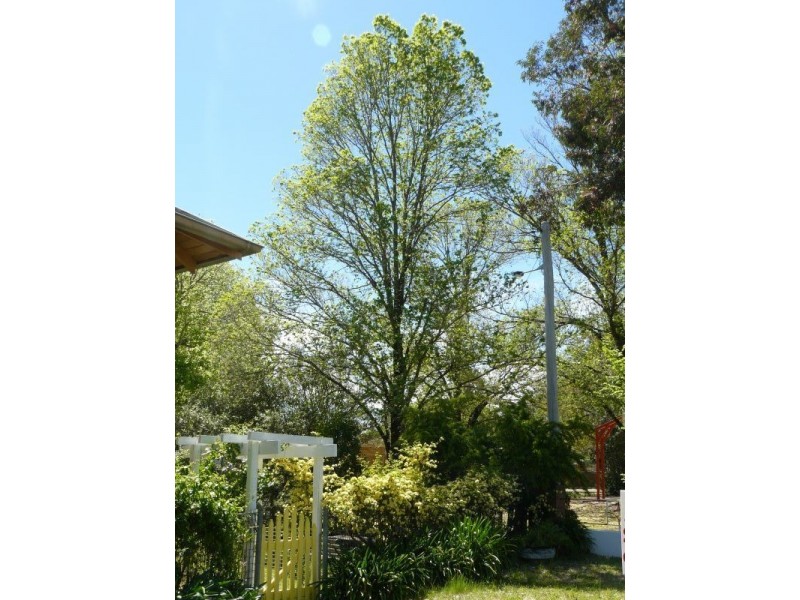 6 Rankin St, Woodstock NSW 2793