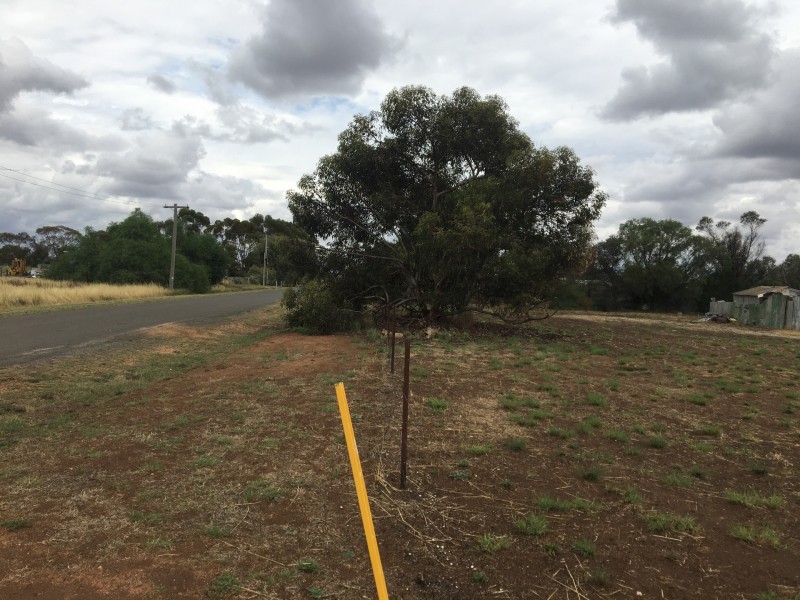 6 Newry st, Watchem VIC 3482