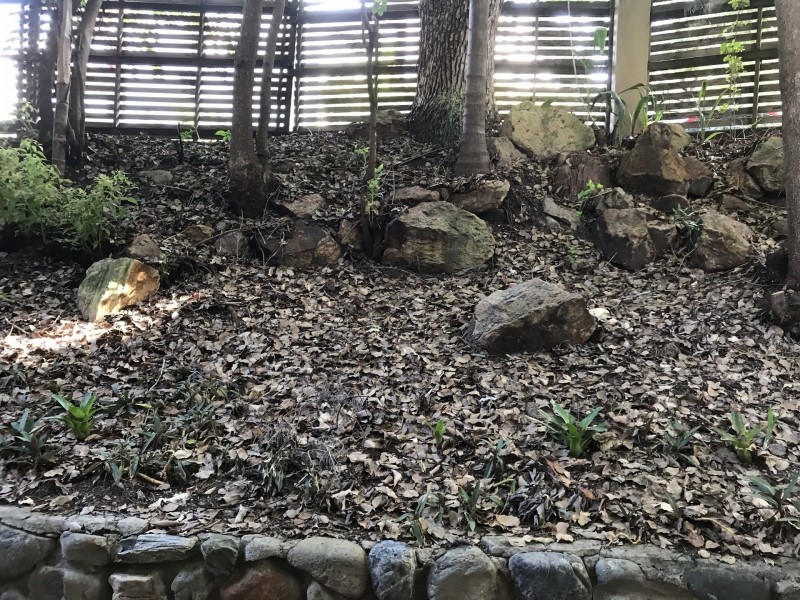 Norman Park QLD 4170