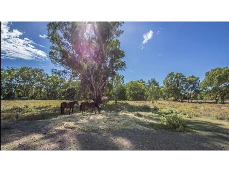 25 Sugden Street, Narrandera NSW 2700