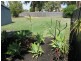 29 Chaucer Street, Yokine WA 6060