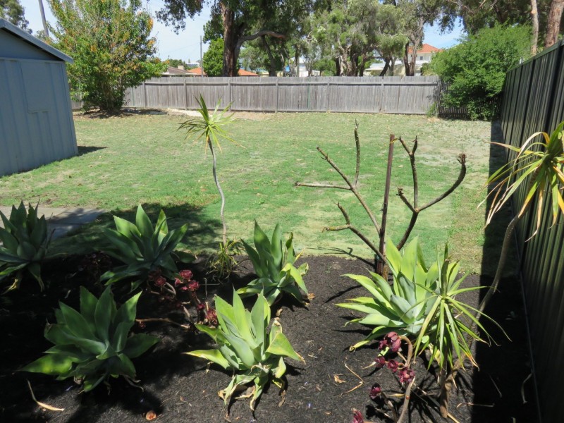 29 Chaucer Street, Yokine WA 6060