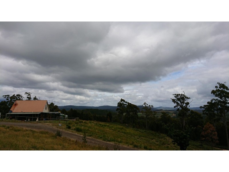 58 Bridport Back Road, Nabowla TAS 7260