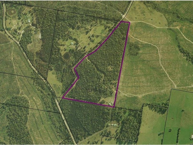58 Bridport Back Road, Nabowla TAS 7260