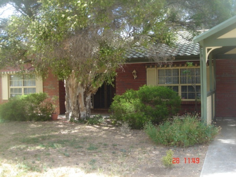 12 Kym Street, Athelstone SA 5076