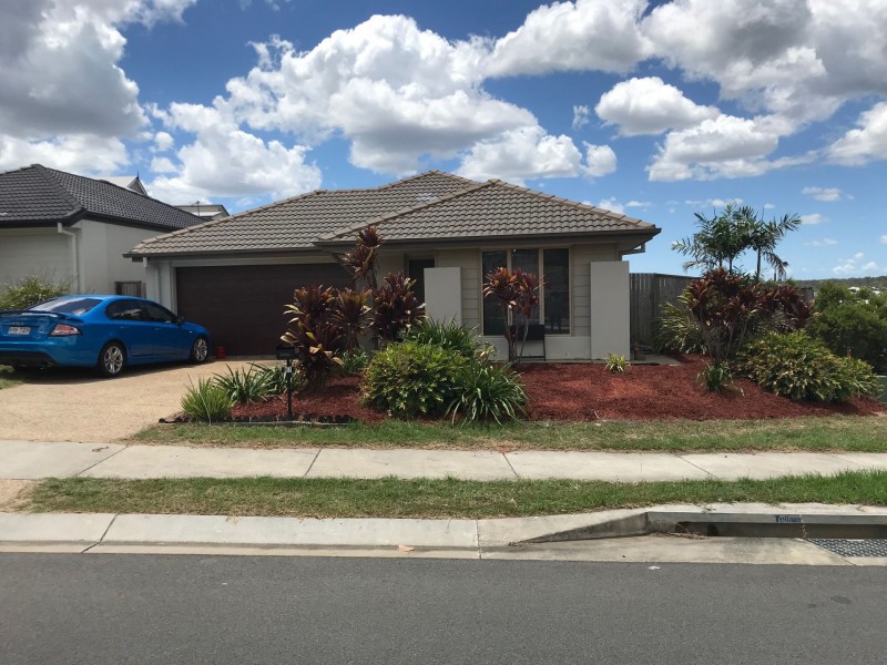 67 Opperman Drive, Springfield Lakes QLD 4300