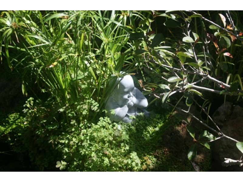 17/5 Tenby Street, Blacktown NSW 2148