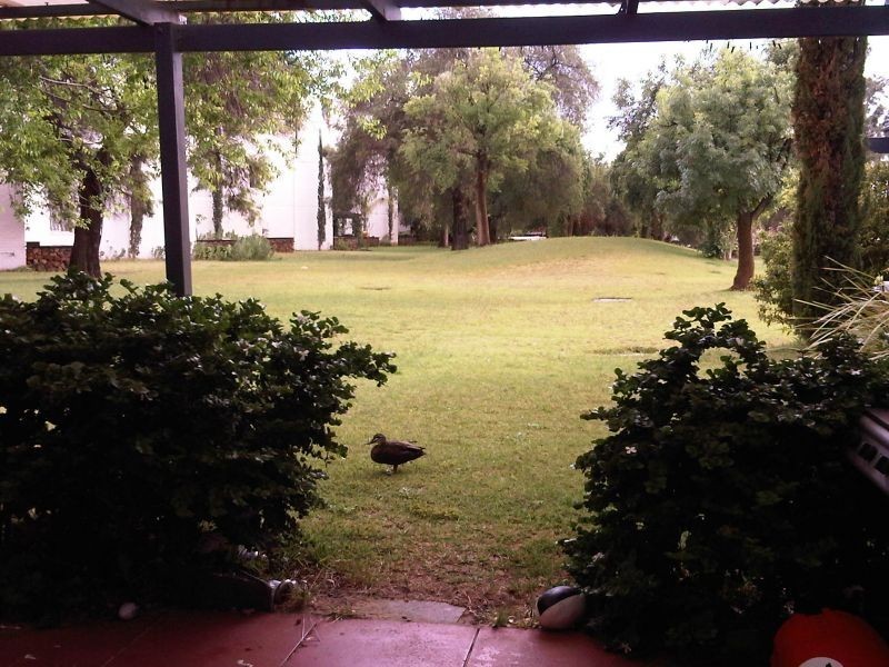 94/12 Wall Street, Maylands WA 6051