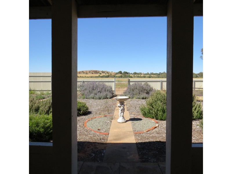 49 Main Road, Redhill SA 5521